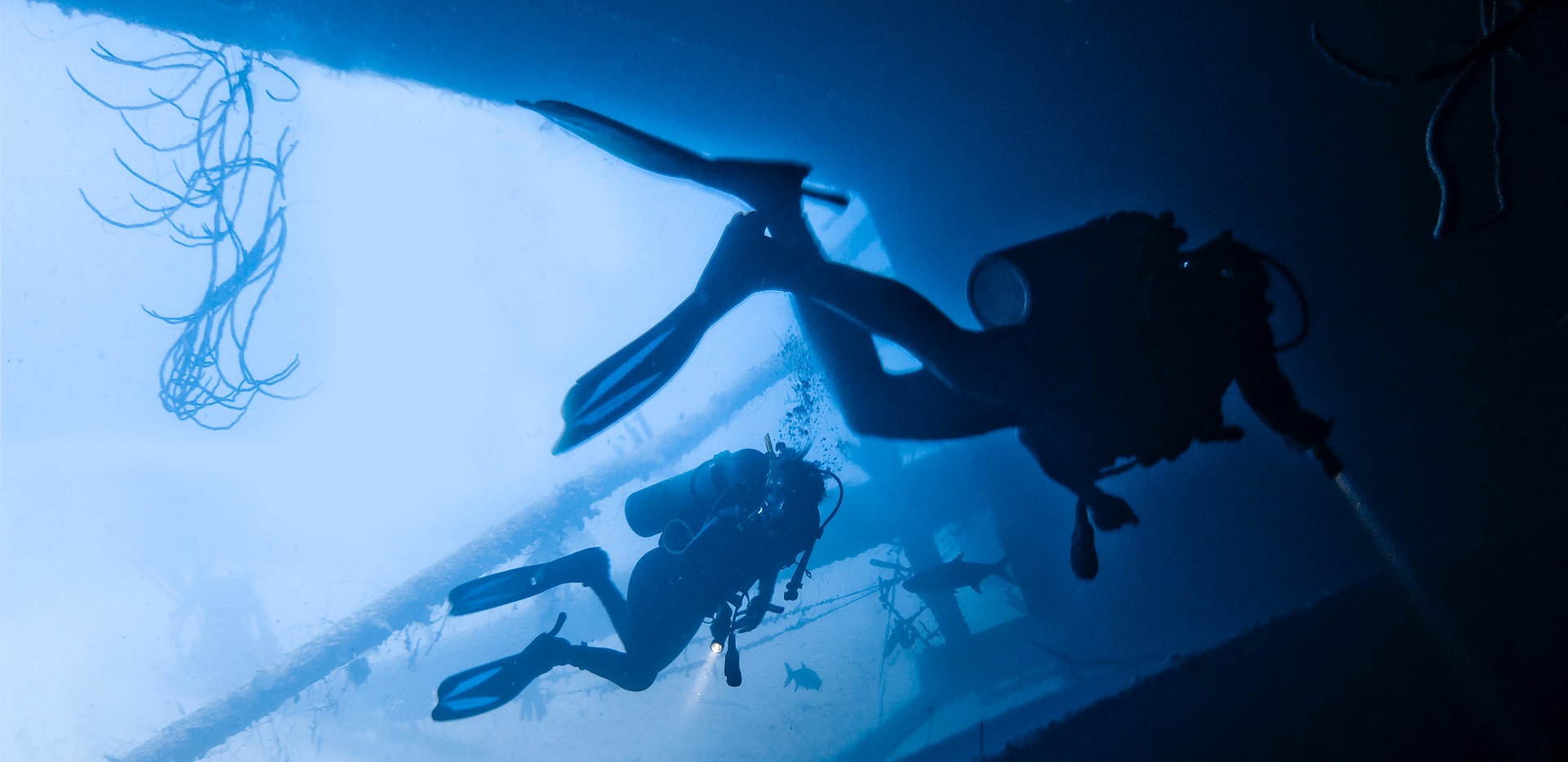 Buceo Asistido Comercial e Intermedio